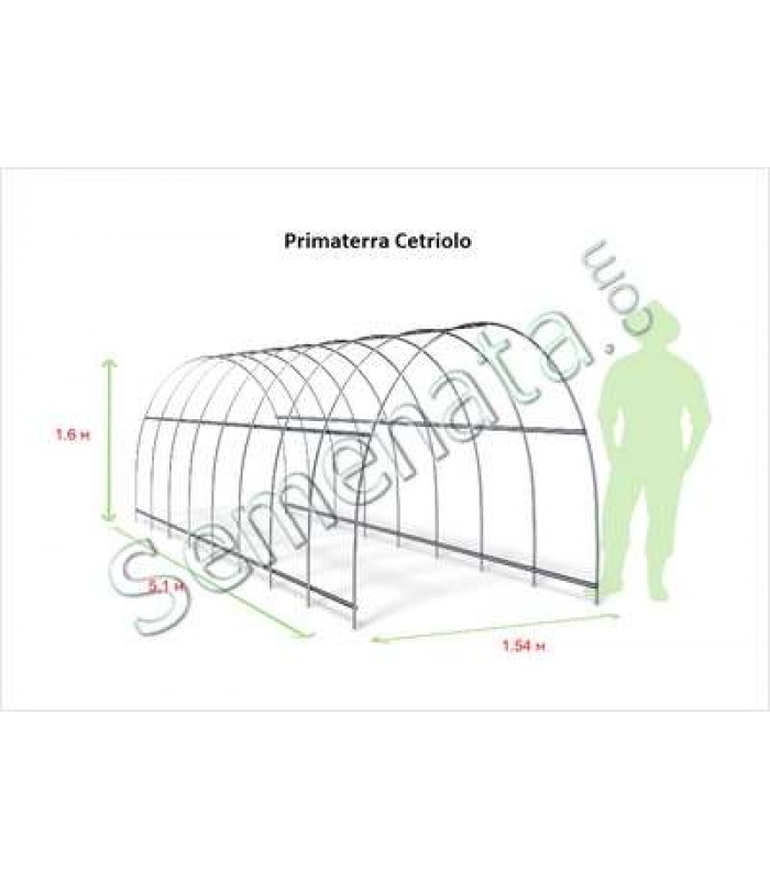 Primaterra Cetriolo